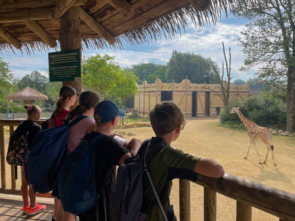 alsh centre aéré community visite zoo