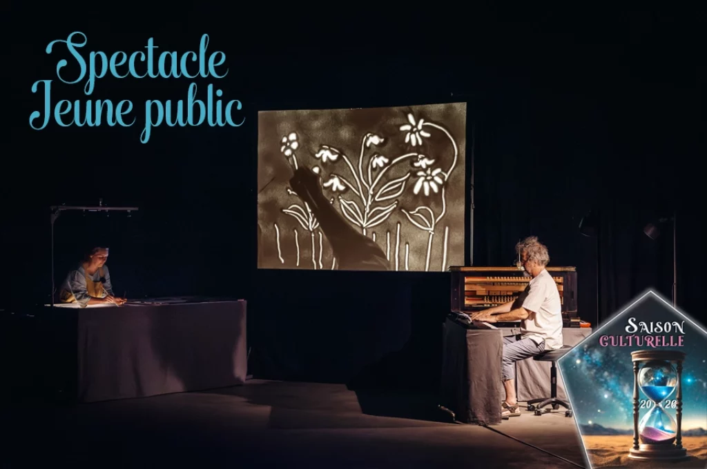 vignette_variations_boule